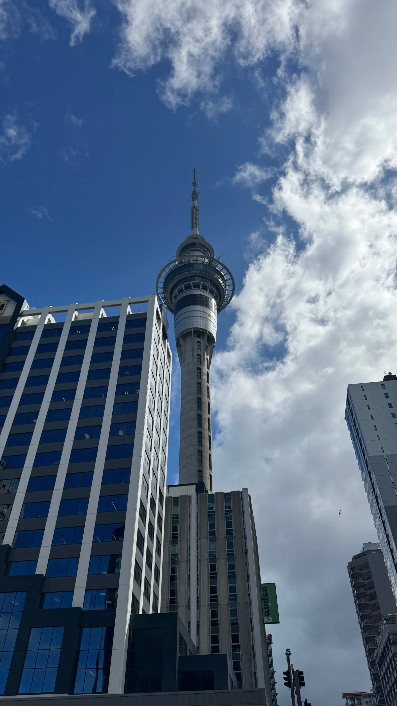 The Sky Tower rising above downtown Auckland.